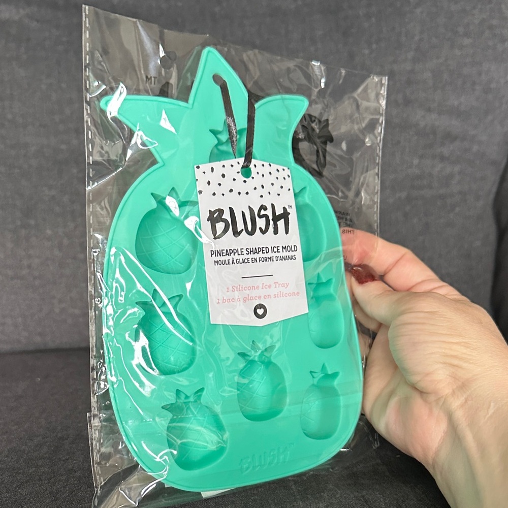 NWT Blush Teal Pineapple Ice Tray